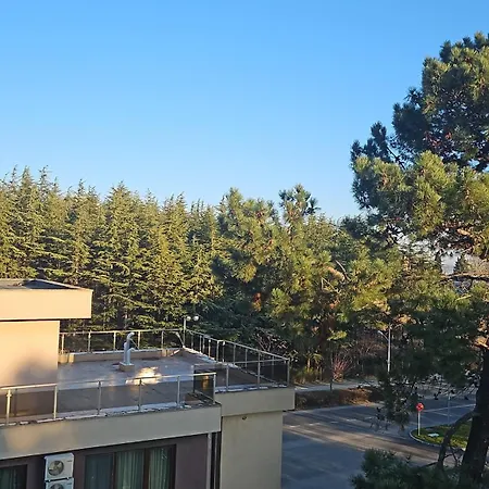 Apartament Summer Dreams Sunny